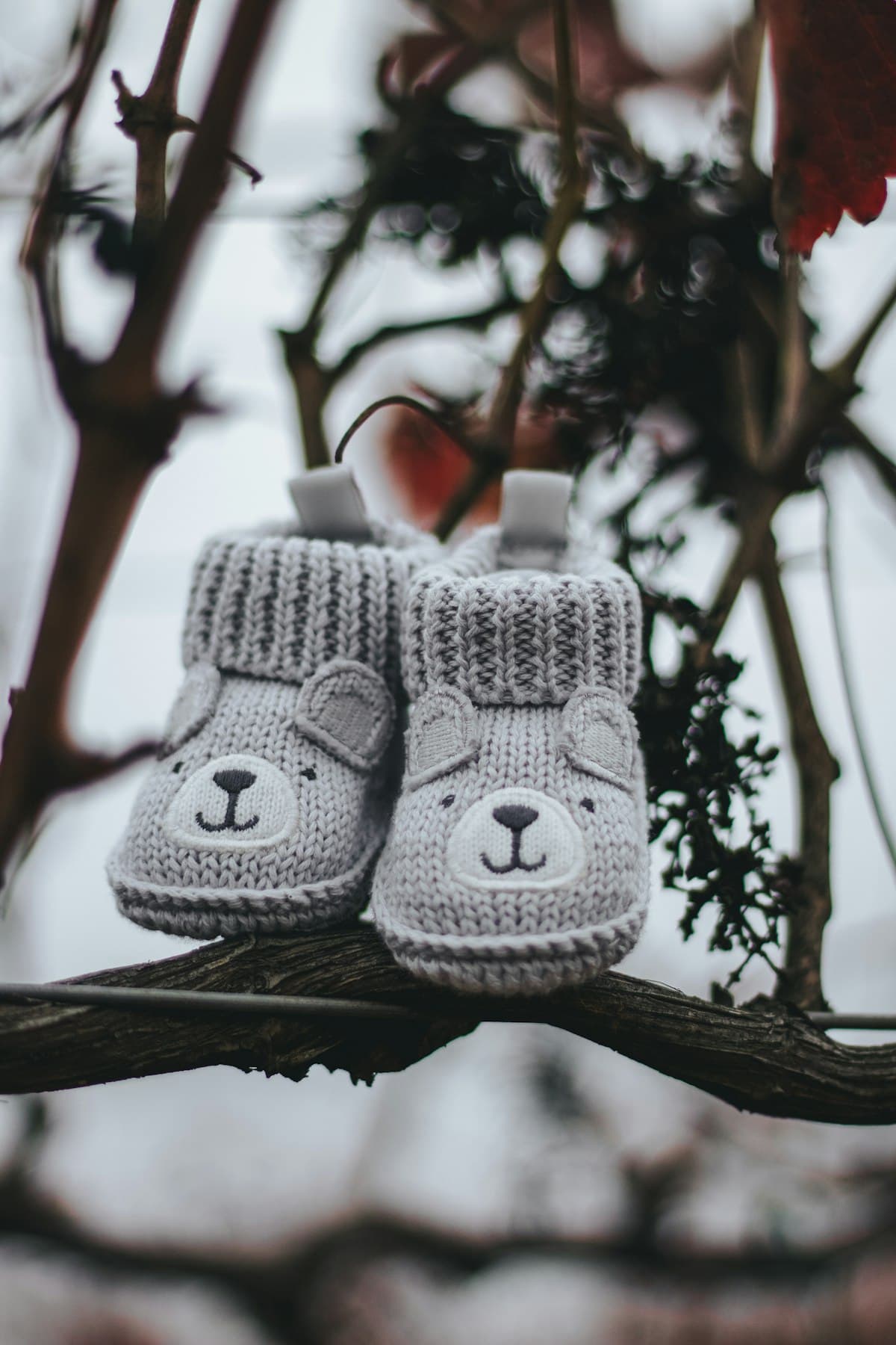 A pair of knit baby booties resting on a branch outdoors